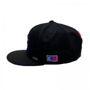 Ny E 5950 Högkvalitativ klassisk anpassad logotyp 6 Panel Snapback Caps broderihatt