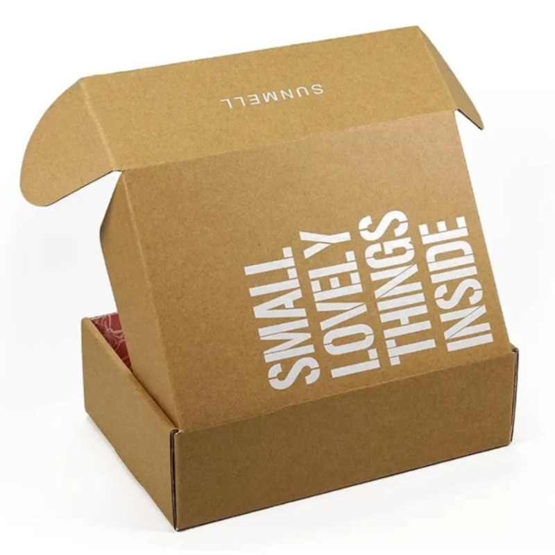 Anpassad trycklogo Kosmetisk korrugerad förpackning Recycle Mailer Paper Box Airplane Shipping Box