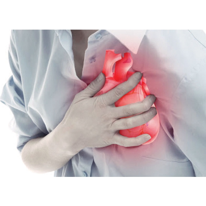 Nanjing Medical University: NMN förbättrar hjärtinfarkt