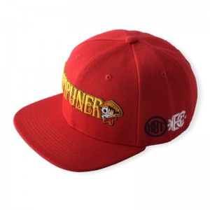 HST -märkesfabrik Direktanpassad 6 paneler TAP -tryckning Hip Hop Snapback Hat Rich Design 3D Embroidery Logo Flat Brim Cap