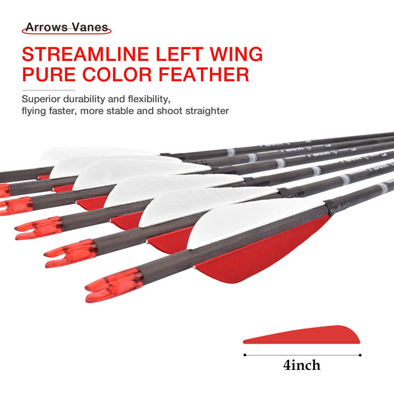 carbon arrows 04.jpg