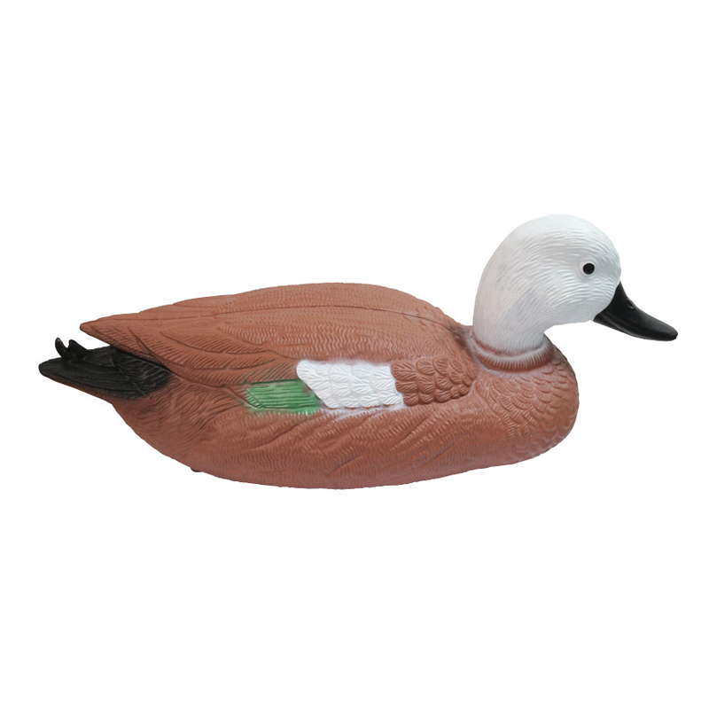 1633587300.jpg duck1.jpg